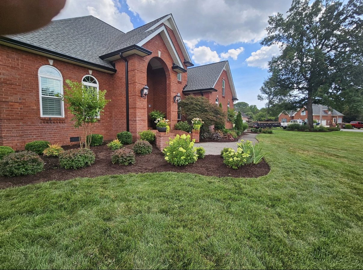 Established foundation planting bed with flowering shrubs at brick home entry