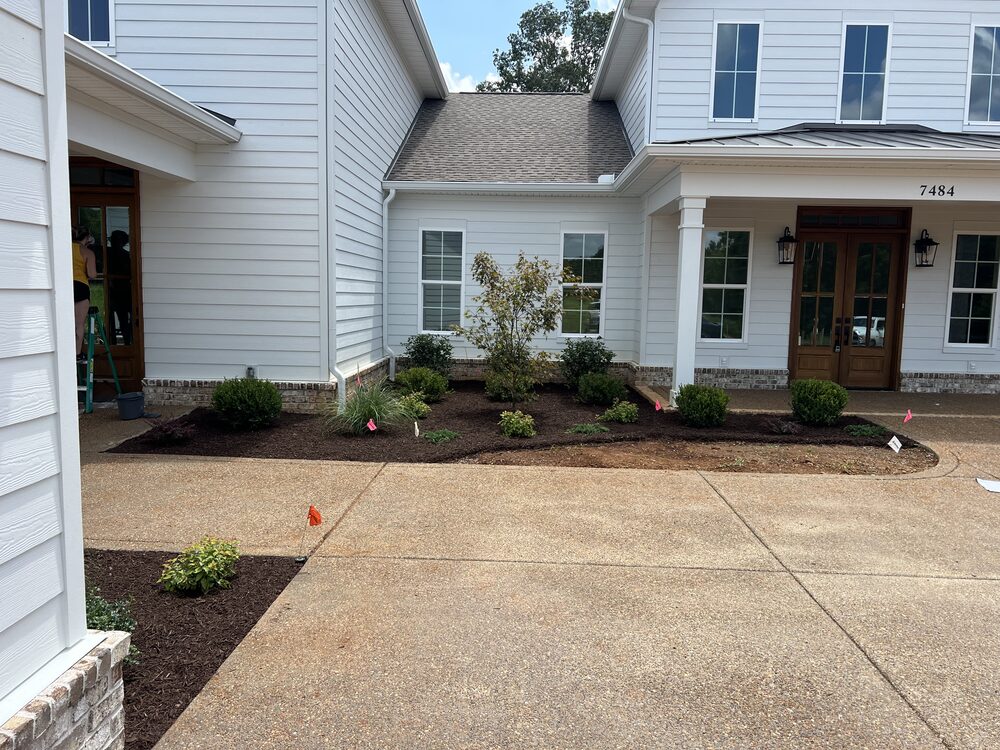 Front entry planting bed with new shrubs and ornamental tree