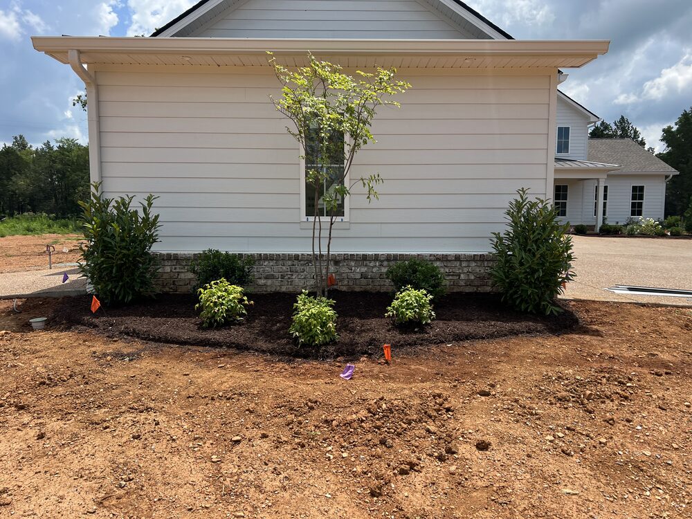 Newly installed shrub bed along home side elevation